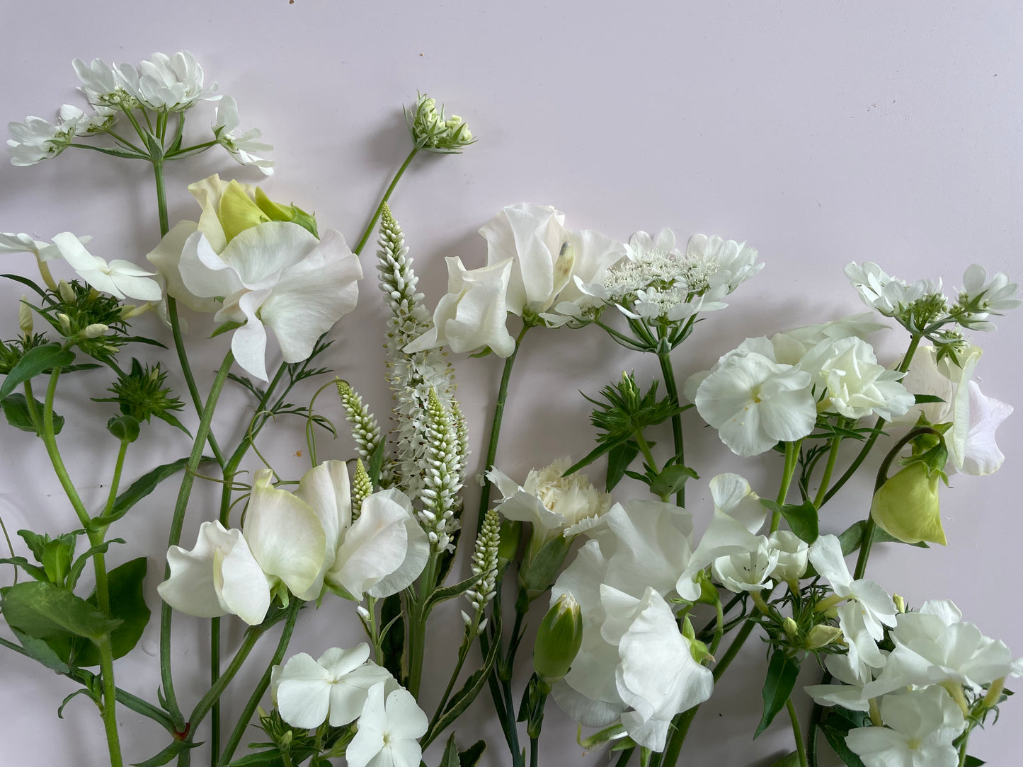 Workshop Luktärter och sommarblommor