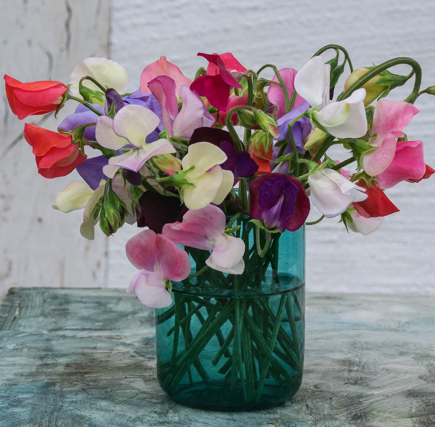 Blandade gamla sorter