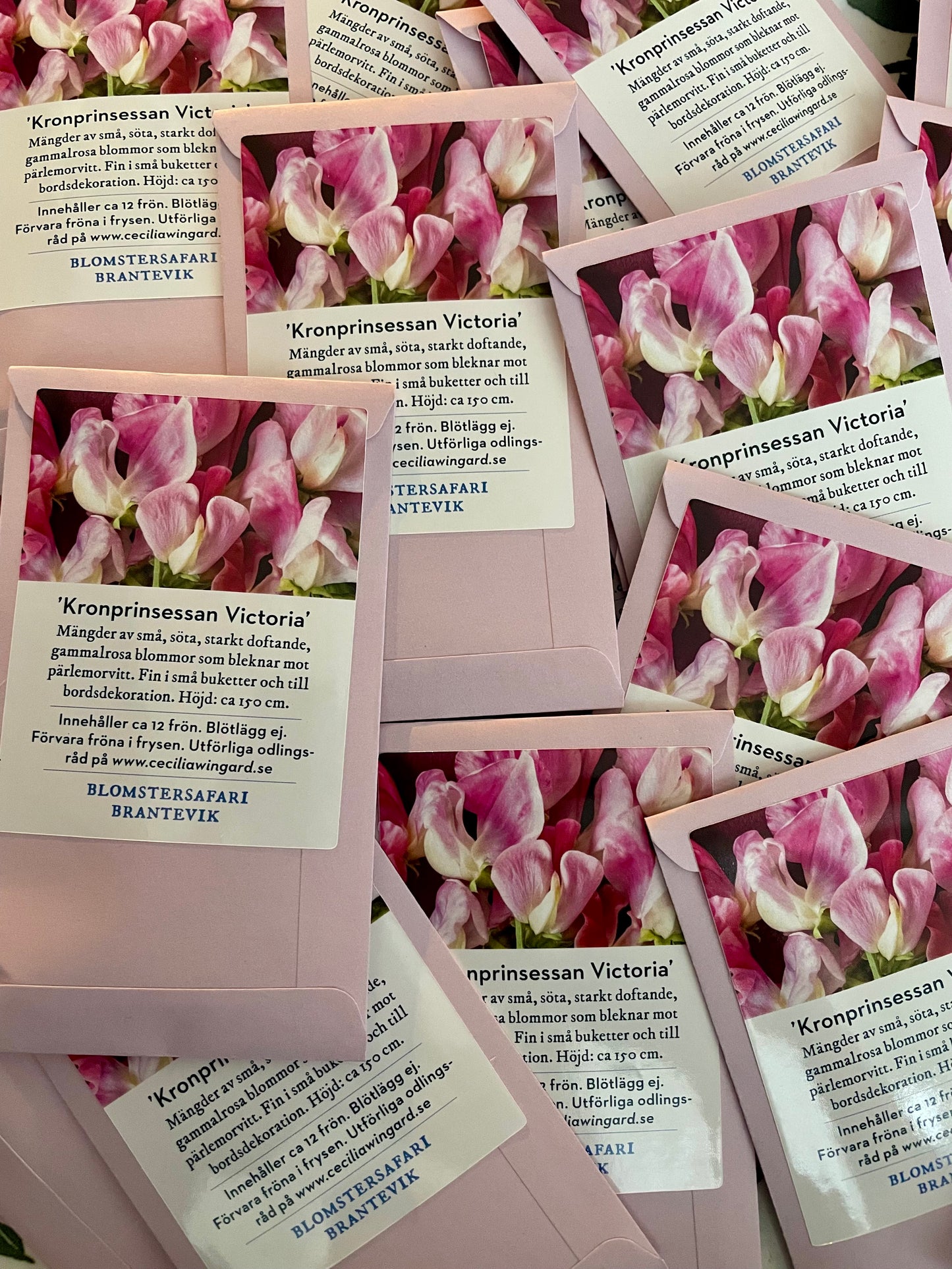 Crown Princess Victoria