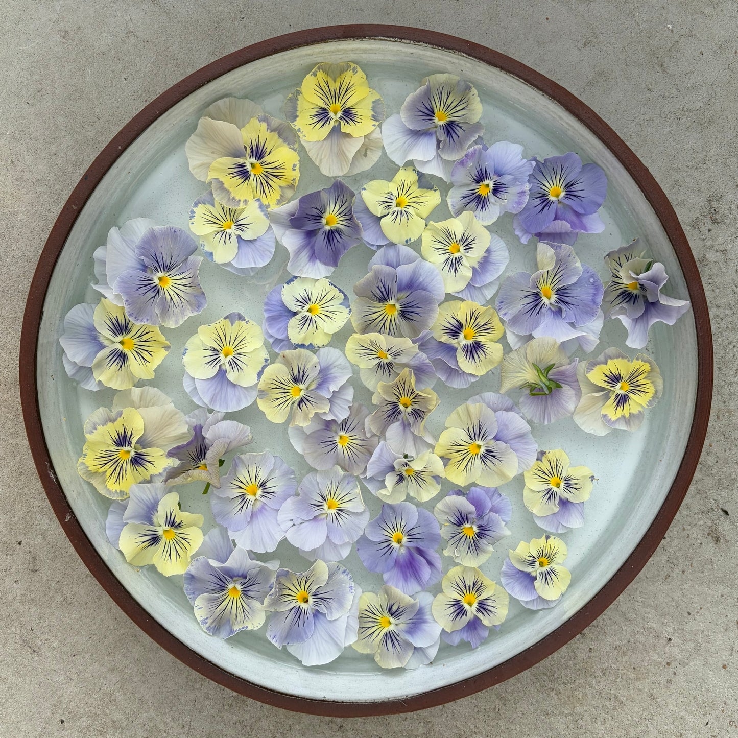 Flamenco Soft light azure Limonette
