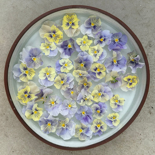Flamenco Soft light azure Limonette