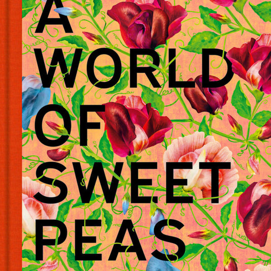 A world of Sweat peas