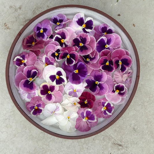pink shades with blotch mix