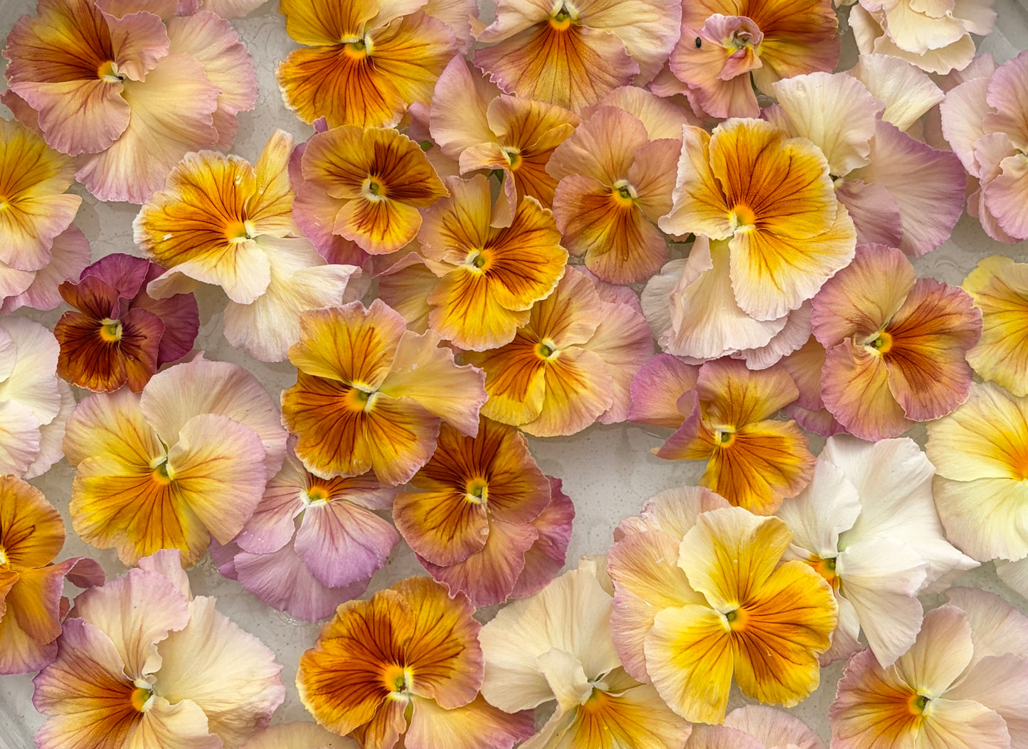 Inspire Peach mix