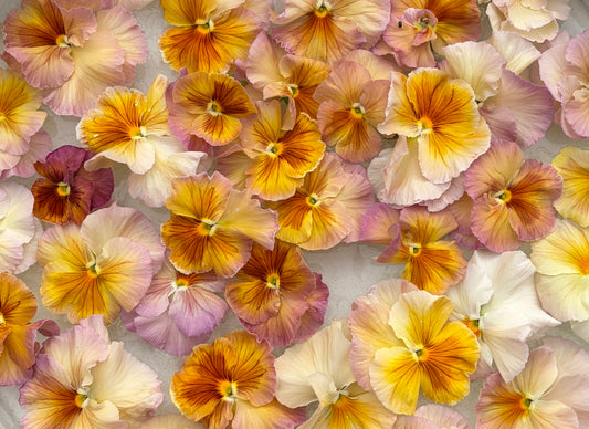 Inspire Peach mix