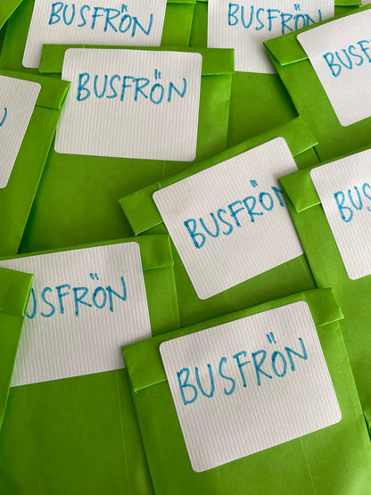 Busfrön