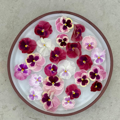 Strawberry Sundae mix