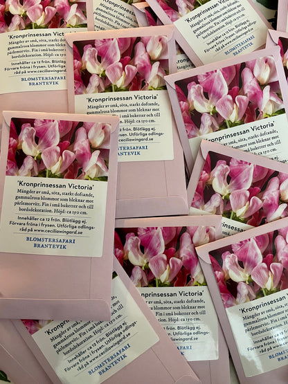 Crown Princess Victoria