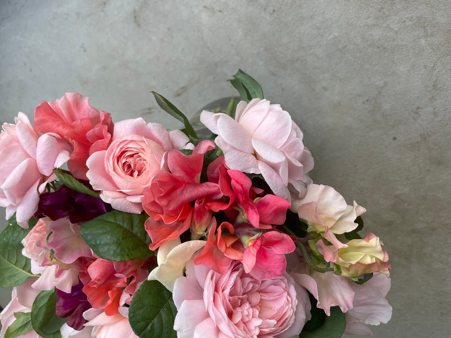 Workshop Odla blommor med Cecilia Wingård