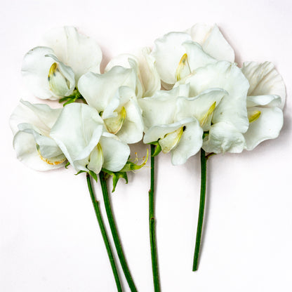 Valentinstag