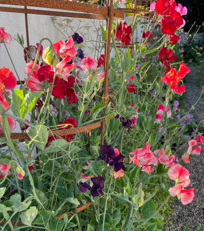 Starkast doftande mix