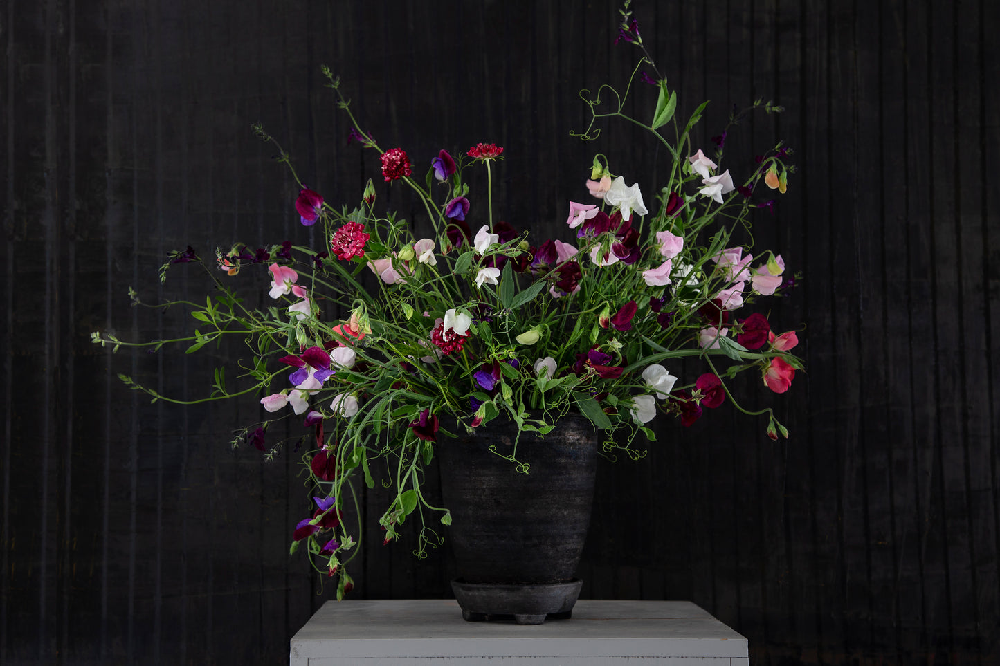 Gemischte alte Sorten