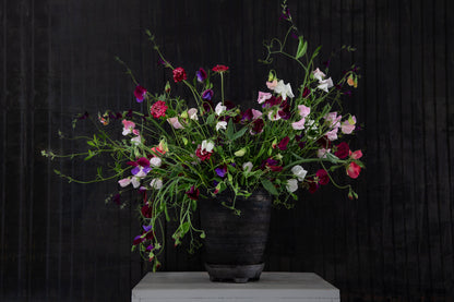 Gemischte alte Sorten