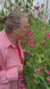 miss wilmott