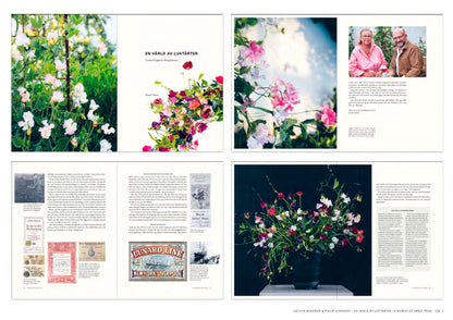 A world of Sweat peas